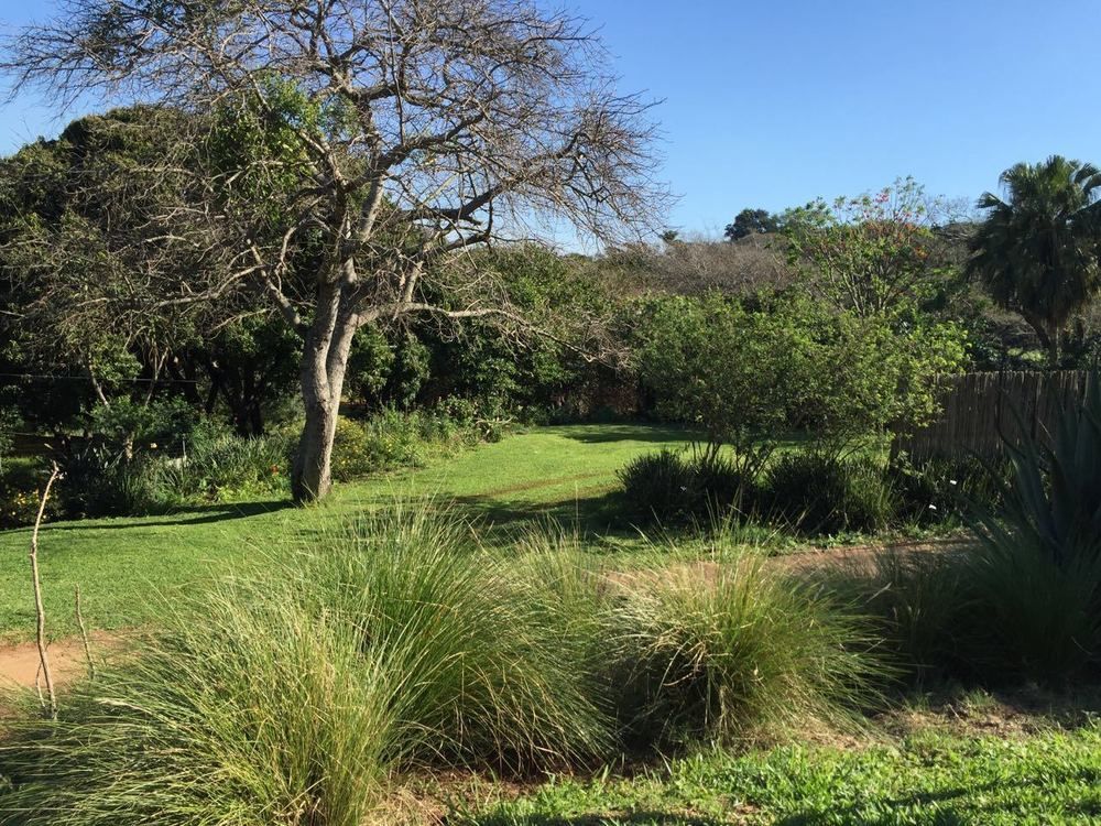 Ngoye Lodge Mtunzini Esterno foto